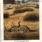 1980 - Article - May - Golf Magazine (4)